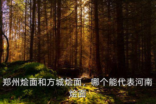 鄭州燴面和方城燴面，哪個(gè)能代表河南燴面