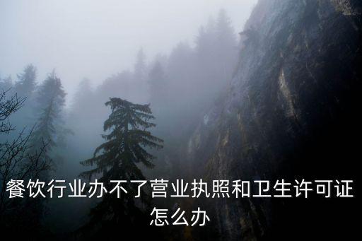 餐飲行業辦不了營業執照和衛生許可證怎么辦