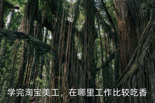 學完淘寶美工，在哪里工作比較吃香