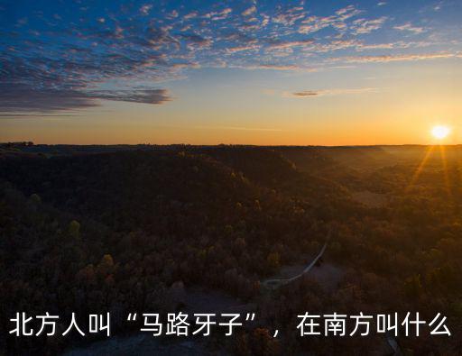 鄭州馬路牙子怎么樣,公路如果沒有馬路牙子