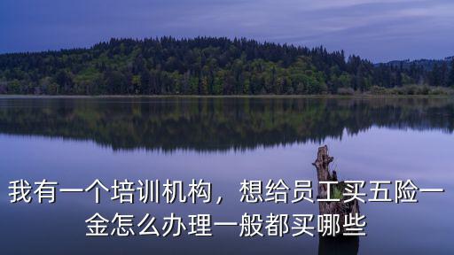 我有一個(gè)培訓(xùn)機(jī)構(gòu)，想給員工買五險(xiǎn)一金怎么辦理一般都買哪些