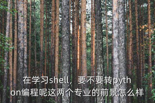在學習shell，要不要轉python編程呢這兩個專業的前景怎么樣