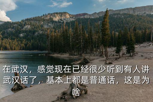 在武漢，感覺現在已經很少聽到有人講武漢話了，基本上都是普通話，這是為啥