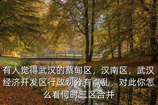 武漢市區(qū)域怎么劃分,對此你怎么看