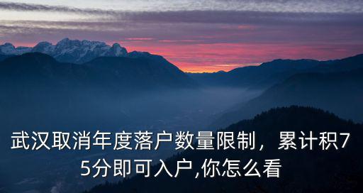 武漢積分落戶怎么 弄,武漢積分落戶政策要積多少分