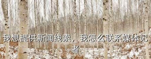 我想提供新聞線索，我怎么聯系媒體記者