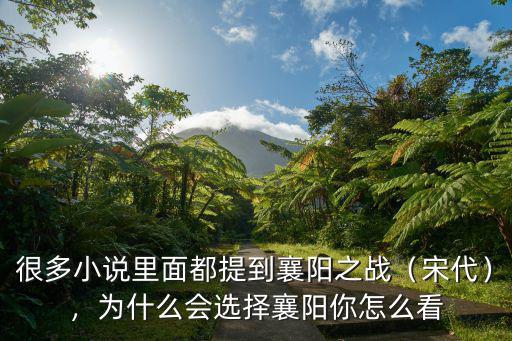 元軍怎么攻破襄陽,元軍攻破襄陽后