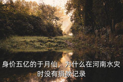 劉蕓河南捐款多少,河南洪災你捐款了嗎