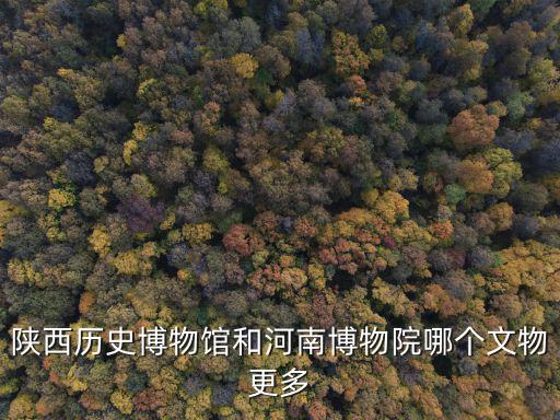 陜西歷史博物館和河南博物院哪個文物更多