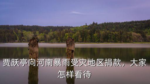 賈躍亭向河南暴雨受災地區捐款，大家怎樣看待