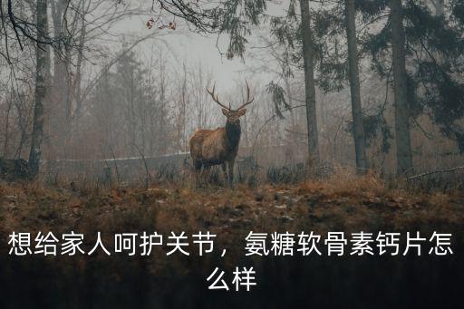 想給家人呵護(hù)關(guān)節(jié)，氨糖軟骨素鈣片怎么樣