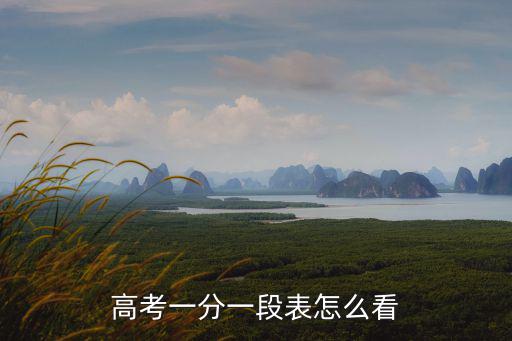 高考一分一段表怎么看