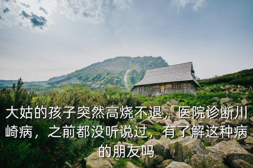 大姑的孩子突然高燒不退，醫院診斷川崎病，之前都沒聽說過，有了解這種病的朋友嗎