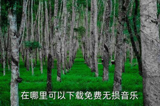 哪里賣無損音樂周口,無損音樂可以到哪里下載
