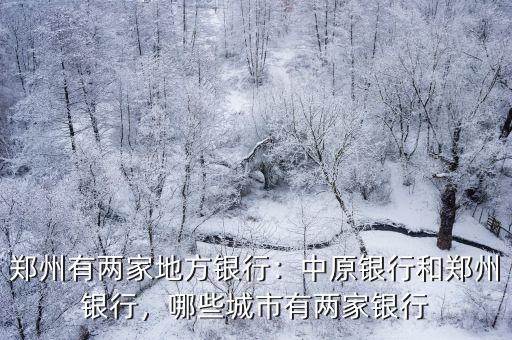 鄭州銀行都在哪里有分行,鄭州有兩家地方銀行