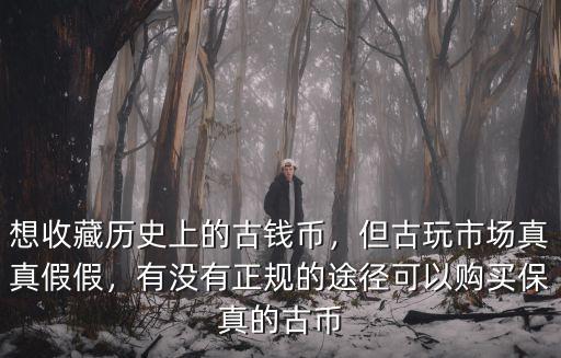 想收藏歷史上的古錢幣，但古玩市場真真假假，有沒有正規(guī)的途徑可以購買保真的古幣