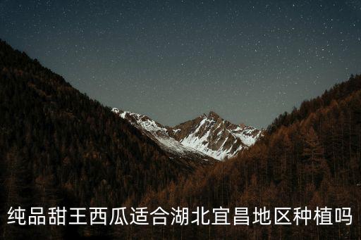 純品甜王西瓜適合湖北宜昌地區種植嗎