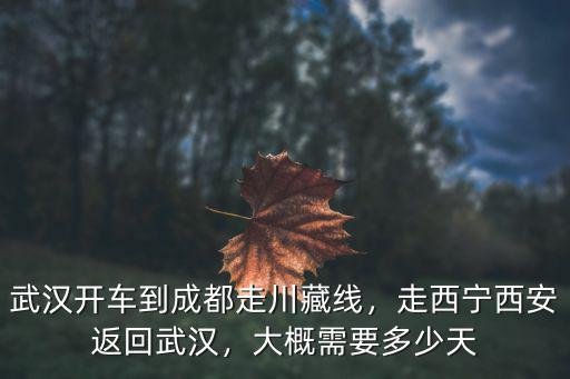 武漢開車到成都走川藏線，走西寧西安返回武漢，大概需要多少天