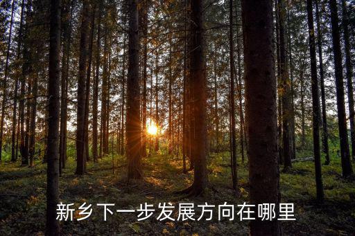 濮陽新鄉在哪里,新鄉市在哪里