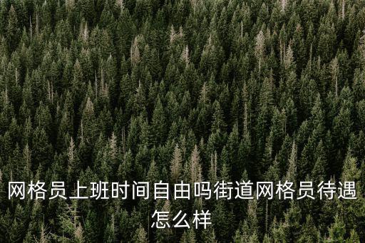 十堰茅箭網格員待遇怎么樣,街道網格員待遇怎么樣