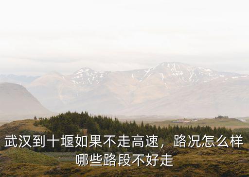 武漢到十堰如果不走高速，路況怎么樣哪些路段不好走