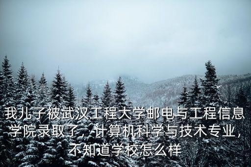 我兒子被武漢工程大學郵電與工程信息學院錄取了，計算機科學與技術專業，不知道學校怎么樣