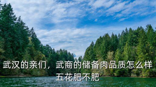 武漢的愛心肉怎么吃,一日三餐是怎么吃的