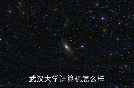 武漢大學計算機怎么樣