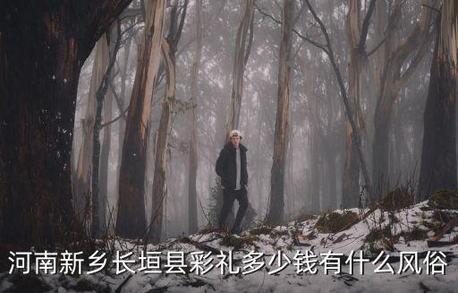河南新鄉長垣縣彩禮多少錢有什么風俗