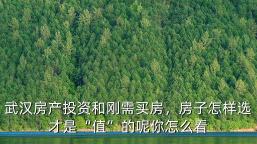 武漢房產投資和剛需買房，房子怎樣選才是“值”的呢你怎么看