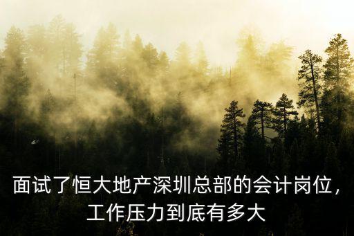 恒大湖北分公司會(huì)計(jì)怎么樣,恒大集團(tuán)深圳公司怎么樣