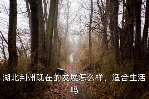 湖北荊州現(xiàn)在的發(fā)展怎么樣，適合生活嗎