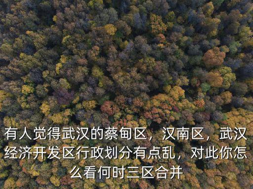 有人覺得武漢的蔡甸區，漢南區，武漢經濟開發區行政劃分有點亂，對此你怎么看何時三區合并
