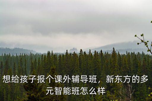 想給孩子報個課外輔導班，新東方的多元智能班怎么樣