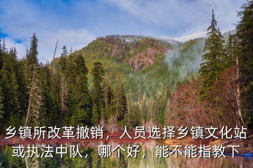 鄉(xiāng)鎮(zhèn)所改革撤銷，人員選擇鄉(xiāng)鎮(zhèn)文化站或執(zhí)法中隊(duì)，哪個(gè)好，能不能指教下