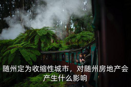 隨州定為收縮性城市，對隨州房地產會產生什么影響