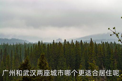 廣州和武漢怎么選擇,武漢和廣州相比哪個(gè)好