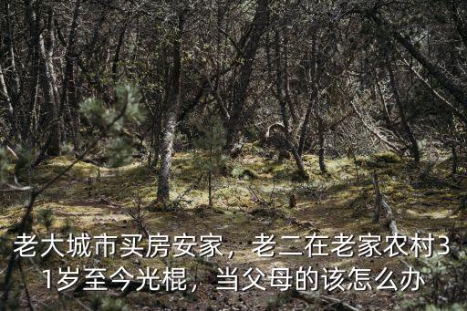 老大城市買房安家，老二在老家農村31歲至今光棍，當父母的該怎么辦