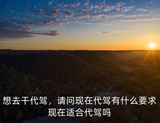 想去干代駕，請問現在代駕有什么要求現在適合代駕嗎