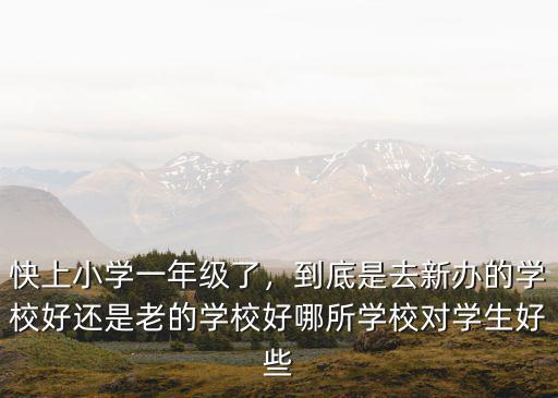 快上小學一年級了，到底是去新辦的學校好還是老的學校好哪所學校對學生好些