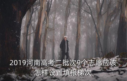 2019河南高考二批次9個志愿應該怎樣設置填報梯次