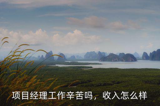 湖北能源 項目經理待遇怎么樣,工程項目經理待遇怎么樣