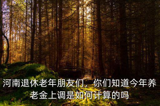 河南退休老年朋友們，你們知道今年養(yǎng)老金上調(diào)是如何計(jì)算的嗎
