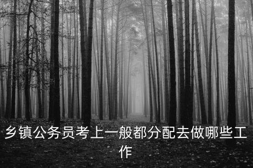 鄉鎮公務員考上一般都分配去做哪些工作