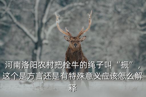 抱你洛陽方言怎么說,洛陽本地最土的方言