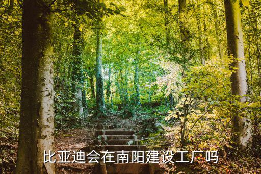 南陽啟成比亞迪服務怎么樣,請問比亞迪車售后服務怎么樣