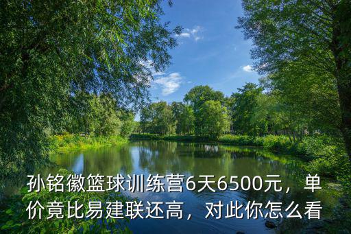 孫銘徽籃球訓練營6天6500元，單價竟比易建聯還高，對此你怎么看