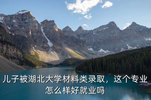 兒子被湖北大學(xué)材料類錄取，這個(gè)專業(yè)怎么樣好就業(yè)嗎