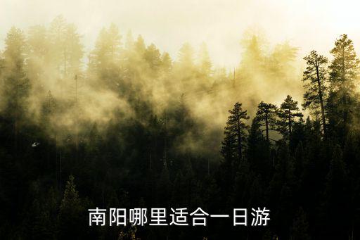 南陽哪里有大銀杏樹,南陽市哪里好玩