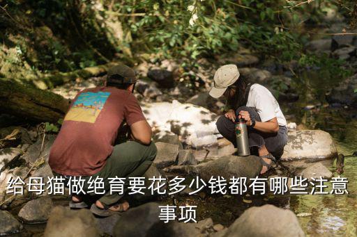 給母貓做絕育要花多少錢都有哪些注意事項